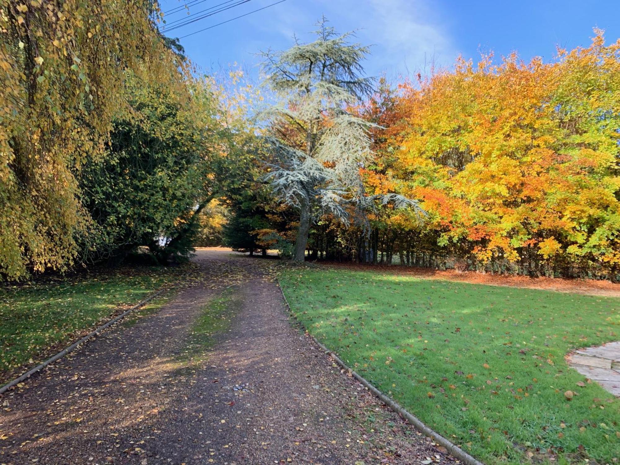 Aldercarr Hall Great Ellingham Kültér fotó